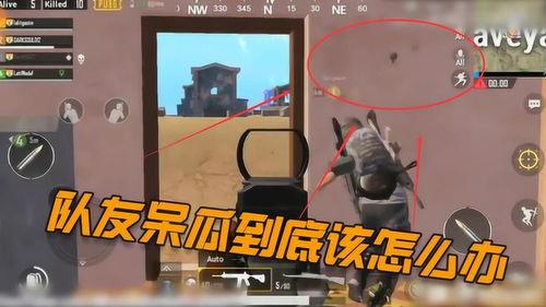 吃鸡呆瓜操作视频大全,笑料百出，带你领略游戏另一面