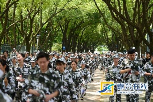 军训吃瓜视频资源,吃瓜视频揭秘萌新日常