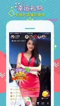 莒县吃瓜新闻直播视频,现场直击，带你领略莒县特色美食盛宴