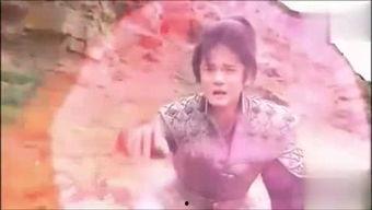 吃瓜少年西瓜视频,揭秘网红娱乐背后的故事