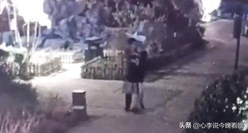 甘肃张掖吃瓜事件视频播放,一场网络热议的甜蜜风波