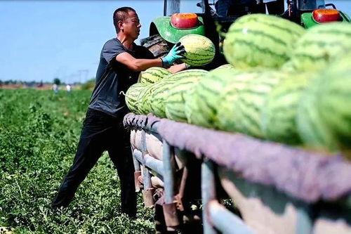 韩城吃瓜新事件视频,揭秘幕后真相与网络热议