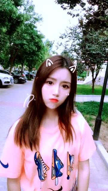 吃瓜少女吃猫粮视频大全,吃瓜少女挑战吃猫粮，视频大全揭秘美食新风尚