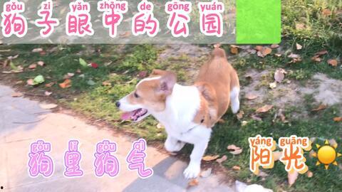 吃瓜停不下来的视频,揭秘吃瓜群众的疯狂追剧之旅