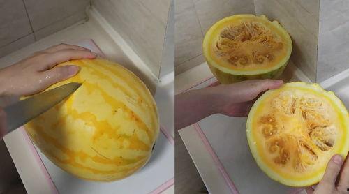 拍摄吃瓜视频怎么拍的,揭秘吃瓜视频的拍摄技巧与创意