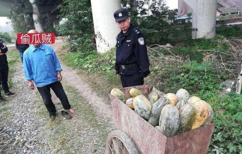 桑植吃瓜事件真相揭秘视频,揭秘背后真相与争议