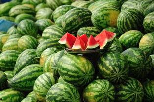 行健学校吃瓜视频,揭秘校园生活趣味瞬间