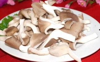 龙瓜菇怎么吃最好吃视频,视频教你如何烹饪最佳口感