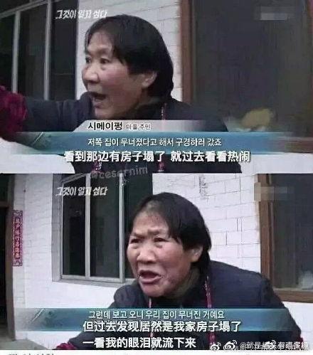 万博事件吃瓜视频,揭秘网络吃瓜群众的狂欢与反思