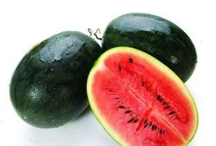 黑底吃瓜视频素材