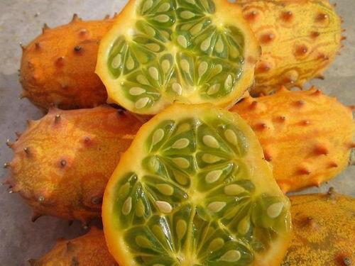 农村小孩吃刺角瓜视频,趣味盎然体验农家乐趣