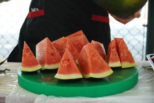 西安大学吃瓜视频,揭秘校园生活趣味瞬间