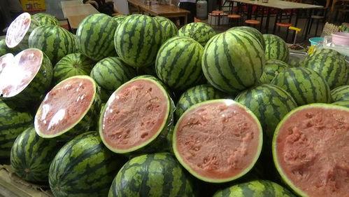 自由吃瓜基地wz视频,一场视觉盛宴的狂欢