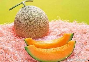 吃网纹瓜搞笑视频大全,网纹瓜搞笑视频大盘点